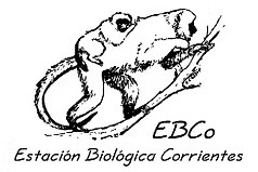 EBCo